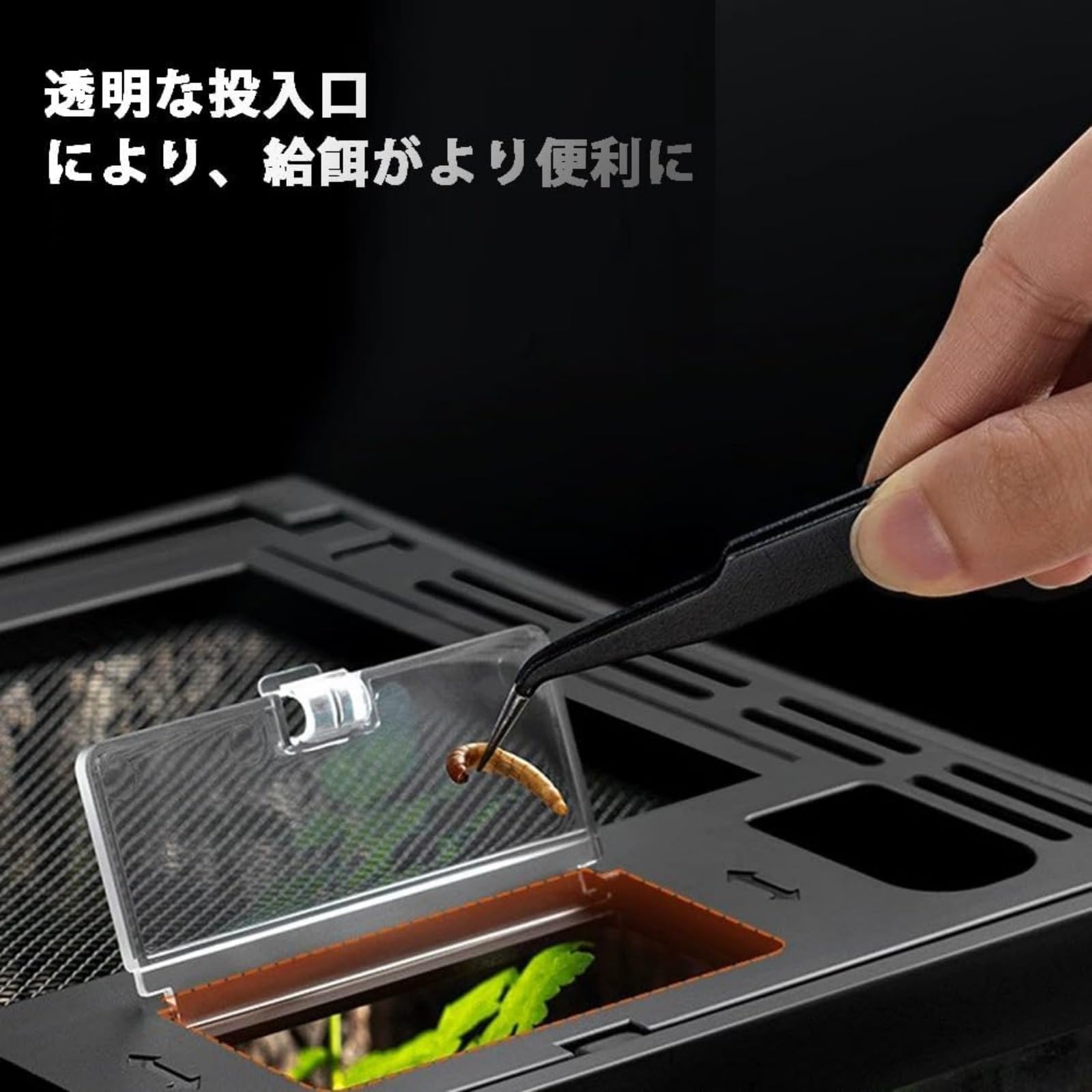 Amazon | 爬虫類 ケージ グラステラリウム 飼育ケース 大 昆虫